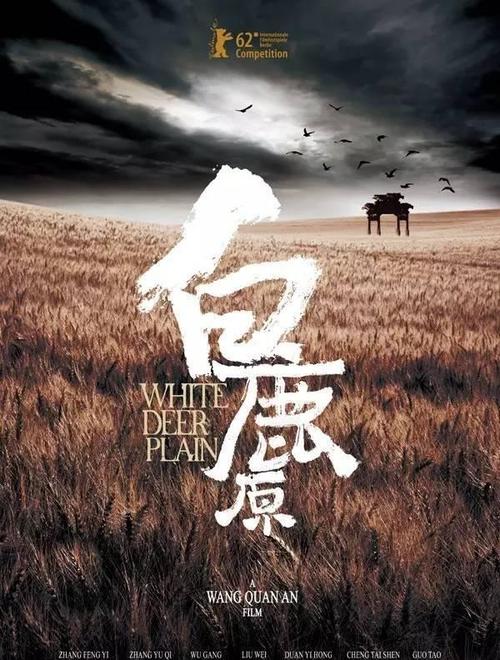 哪里能买到南卡罗莱纳州驾驶证